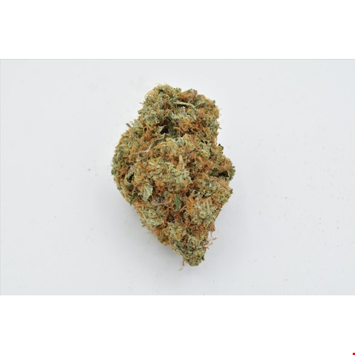 Apple Fritter (Hybrid) - SALE 1 OZ $115